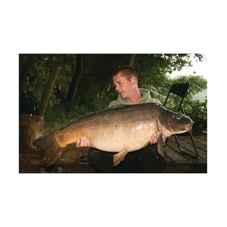 One-bedroom Holiday In Heidesee Ot Streganz Ferienhaus